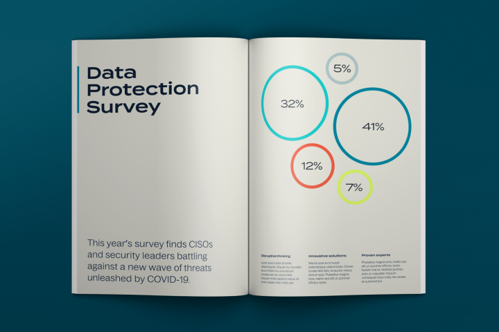 Internal spread in corporate brochure design showing infographic